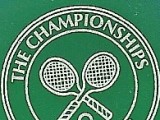 Luca Vanni ripescato nel tabellone Wimbledon 2015 / Il tennista italiano, 1° lucky loser, entra nel torneo di singolare al posto dell’infortunato David Ferrer