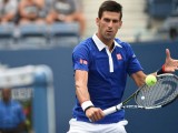 (Photo credits to https://www.facebook.com/usopentennis?fref=photo  )