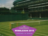 Risultato Murray Raonic finale Wimbledon 2016 LIVE 10 luglio Tempo Reale. Cronaca Diretta e Punteggio Online Torneo Singolare Maschile Tennis Londra / Terzo titolo Grand Slam per il britannico e 2° ai Championships