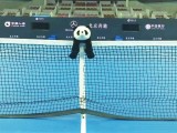 Risultati Tabellone Wta Pechino 4-5-6 ottobre 2016 China Open LIVE Tennis Beijing. Svitolina, Radwanska, Kvitova, Keys, Gavrilova, Cornet, Konta e Zhang tra le tenniste in gara nel torneo di singolare femminile
