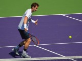 Classifica Atp 7 novembre 2016 ranking singolare maschile Tennis Top 300 e i piazzamenti degli italiani