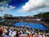 Risultati Wta Auckland 2017 LIVE 4-5-6-7 gennaio Tabellone Tennis Tempo Reale. Davis batte Konjuh nella finale del torneo di singolare femminile