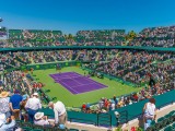 In queste ore, sui campi in cemento di Miami, mentre i big si allenano per il torneo che scatterà mercoledì 22 marzo, 48 tennisti tentano la via della qualificazione al tabellone principale del “Masters 1000 Miami 2017” attraverso 2 turni preliminari. In palio gli ultimi 12 posti per il seeding principale. In gara anche l’italiano Federico Gaio. (Photo Crandon Park Tennis Key Biscaine: credit to https://www.facebook.com/MiamiOpenTennis)