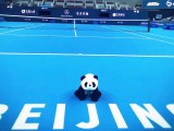 Risultati Atp Pechino 2-3 ottobre 2017 Tabellone LIVE Tennis Tempo Reale Beijing Cina torneo di singolare maschile. Ecco tutti i punteggi di 1° turno