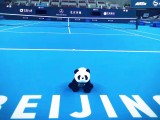 Risultati Atp Pechino 6-7-8 ottobre 2017 Tabellone LIVE Tennis Tempo Reale Beijing Cina torneo di singolare maschile. Lo spagnolo Rafa Nadal ‘re’ anche in Cina. L’australiano Nick Kyrgios ko in finale. Ecco tutti i punteggi di ottavi di finale, Quarti e semifinali