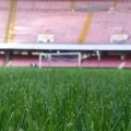 stadio-generico-giorno