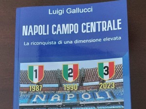 sezione copertina libro Napoli Campo Centrale