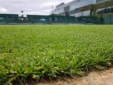 Wimbledon AELTC : uno zoom sull'erba dei campi da tennis più famosi del mondo (Foto: credits Luca Baldissera)