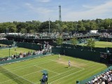 Risultati Wimbledon 5-6-7 luglio 2026 tabellone 4° turno (ottavi di finale) singolare maschile tennis Slam. Qualificati ai Quarti Sinner, Djokovic, Aliassime, Struff, Cobolli, Fery, Fritz e Zverev